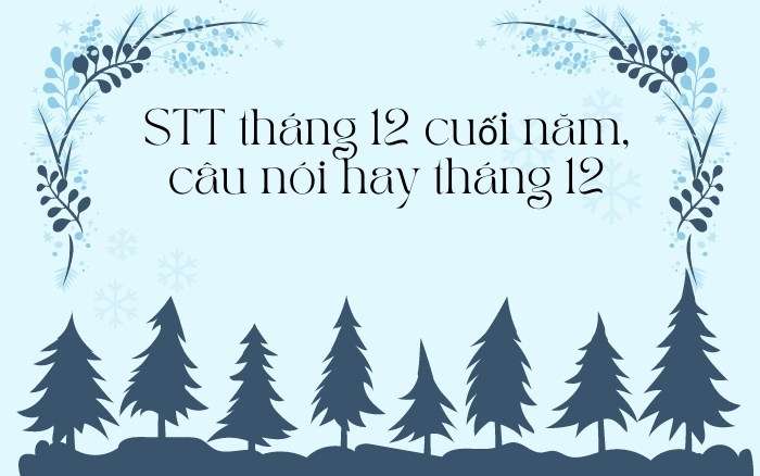 210+ STT tháng 12 cuối năm, Câu nói hay tháng 12 hay nhất