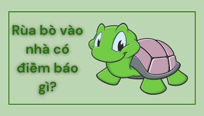 Rùa bò vào nhà có điềm báo gì? Tốt hay xấu? Đánh con gì trúng?