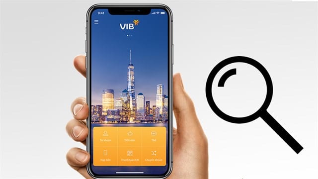 Bật Mí 5 Cách Kiểm Tra Số Dư Tài Khoản VIB Siêu Dễ