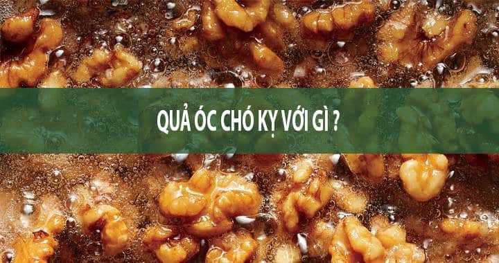 Quả óc chó kỵ với gì nhất? Hạt óc chó có chất gì?