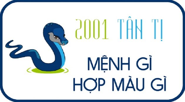 Sinh năm 2001 mệnh gì? Hợp màu gì? Tuổi con gì? Hợp hướng nào nhất?