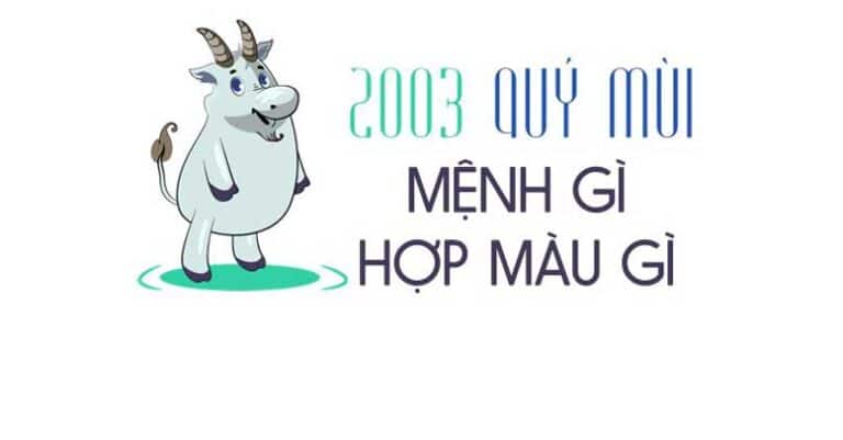 Sinh năm 2003 mệnh gì? Là tuổi gì? Hợp cây gì? Hợp với màu gì nhất?