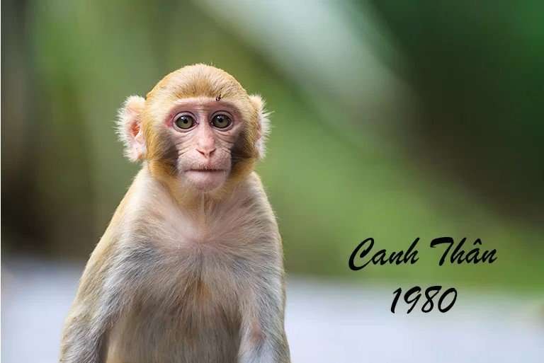 Tuổi Canh Thân sinh năm 1980 mệnh gì? Hợp với tuổi nào? Màu sắc, Hướng