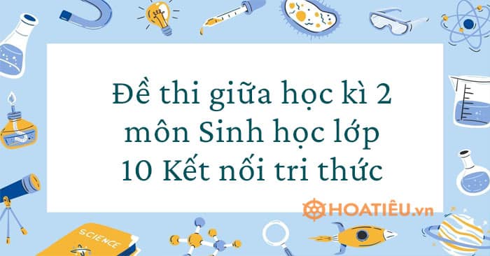 Đề thi học kì 2 môn Sinh học lớp 10 Kết nối tri thức 2023 có đáp án