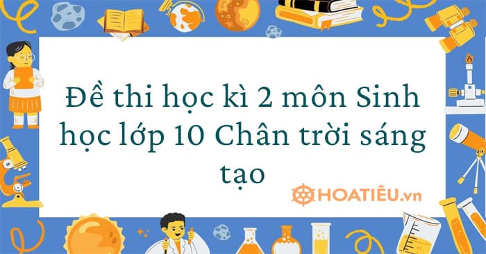 Đề thi học kì 2 môn Sinh học lớp 10 Chân trời sáng tạo 2023 có đáp án