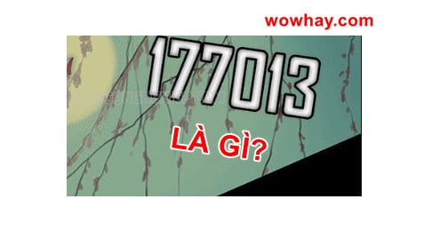 17703 là gì? Điều đáng sợ về 17703 chưa ai biết