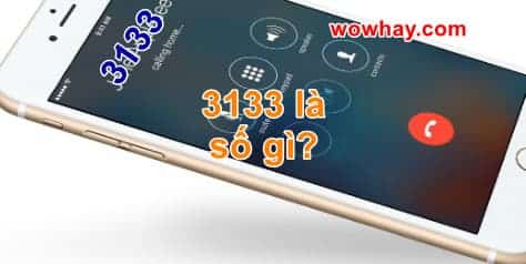 3133 là số gì? Số điện thoại 3133 là gì? Đúng nhất