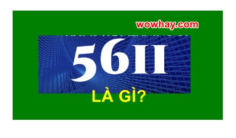 5611 là gì? Ý nghĩa đặc biệt 5611 đúng nhất