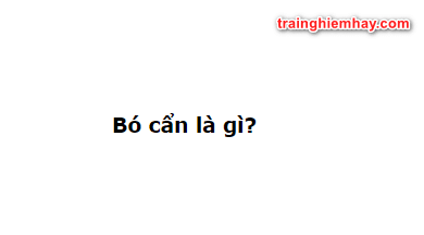 Bó cẩn là gì? Giải thích chính xác nhất