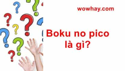 Boku no pico là gì? Câu trả lời đúng nhất