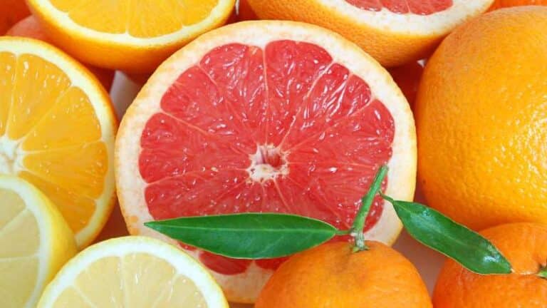 Bưởi chùm (Grapefruit) là gì? Pomelo và Grapefruit có khác nhau không?