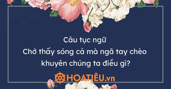 Câu tục ngữ Chớ thấy sóng cả mà ngã tay chèo khuyên chúng ta điều gì?