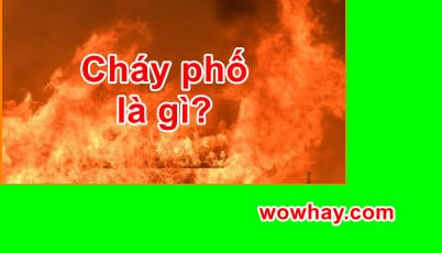 Cháy phố là gì? Đúng nhất đọc ngay