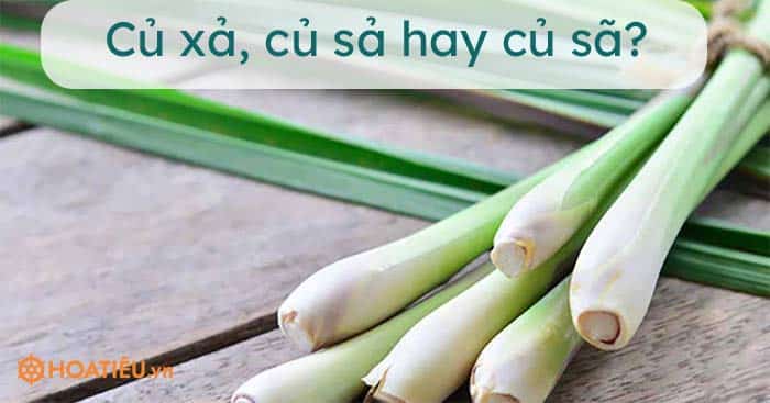 Củ xả, củ sả hay củ sã, từ nào đúng chính tả?