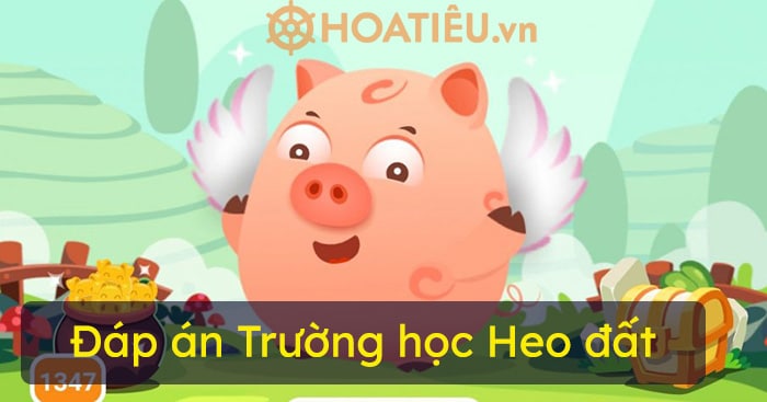 Đáp án Trường học Heo đất hôm nay