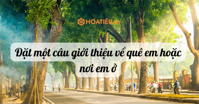 Đặt một câu giới thiệu về quê em hoặc nơi em ở