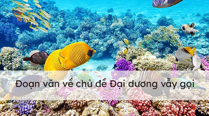 Đoạn văn về chủ đề Đại dương vẫy gọi