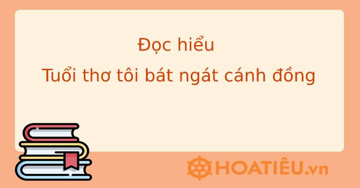 Đọc hiểu Tuổi thơ tôi bát ngát cánh đồng