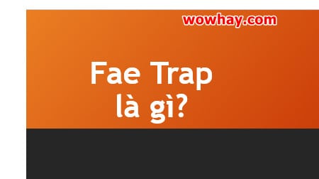 Fae Trap là gì? Fae Trap đáng sợ nhất vì điều chưa ai biết