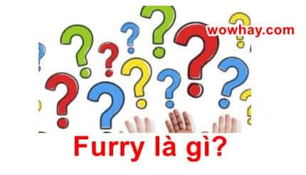 Furry là gì? Điều đặc biệt về Furry chưa ai biết