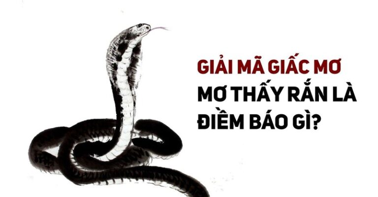 Giải mã điềm báo mơ thấy rắn cắn – mơ thấy rắn đánh con gì?