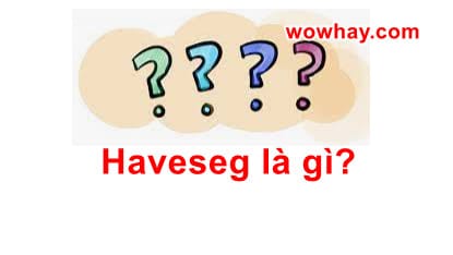 Haveseg là gì? Đúng nhất đọc ngay