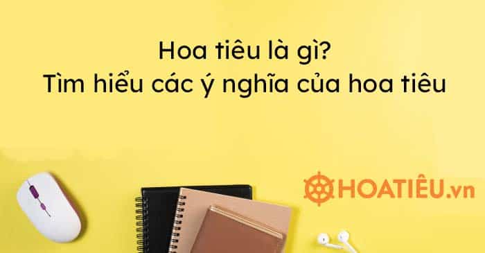 Hoa tiêu là gì?