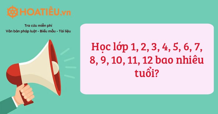 Học lớp 1, 2, 3, 4, 5, 6, 7, 8, 9, 10, 11, 12 bao nhiêu tuổi?