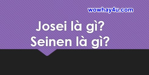 Josei là gì? Seinen là gì? Đúng nhất