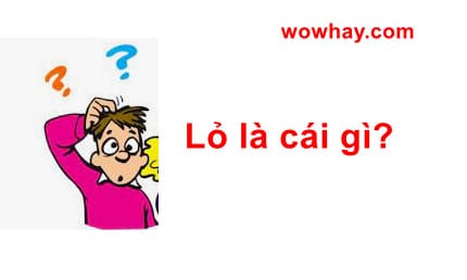 Lỏ là cái gì? Đúng nhất nè