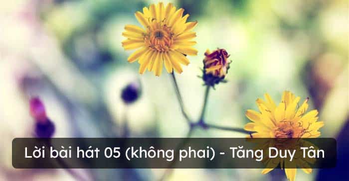 Lời bài hát 05 (không phai) – Tăng Duy Tân