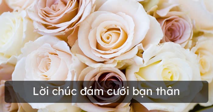 Lời chúc đám cưới bạn thân