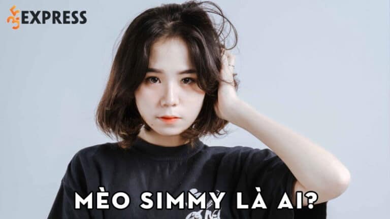 Mèo Simmy là ai? Sự nghiệp nữ streamer 10x đa tài, nổi tiếng