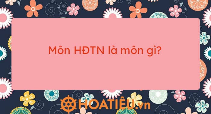 Môn HĐTN là môn gì?