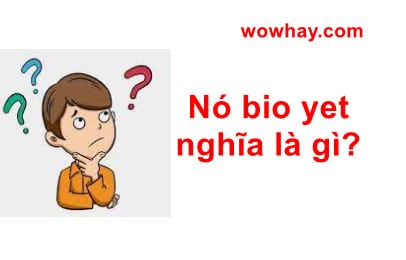 Nó bio yet nghĩa là gì? Đọc ngay để biết