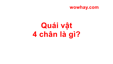 Quái vật 4 chân là gì? Bạch tuộc 8 chân là gì? Đọc ngay nhé!