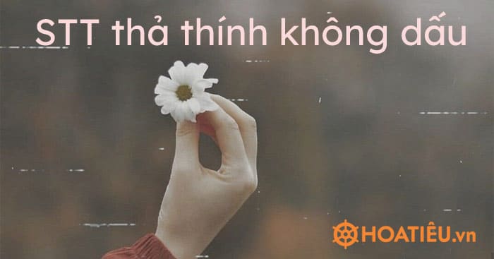 STT thả thính không dấu