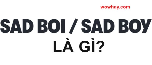 Sad boi, sad boy, sát boy là gì? Đúng nhất