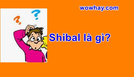 Shibal là gì? Điều đặc biệt về shibal trong All Of Us Are Dead