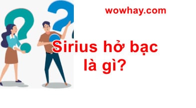 Sirius hở bạc là gì? Điều đặc biệt về Sirius hở bạc bạn chưa biết