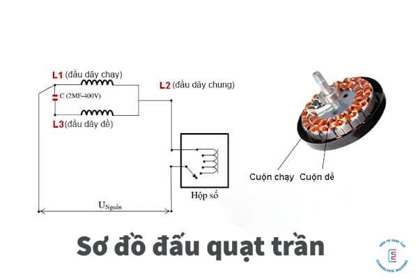 Sơ đồ đấu quạt trần: Cách nhận biết dây và cách đấu đúng chuẩn