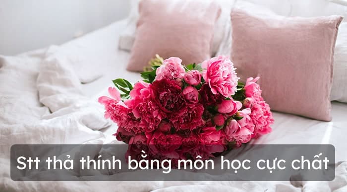 Stt thả thính bằng môn học cực chất