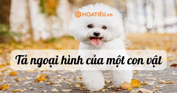 Tả ngoại hình của một con vật hay nhất