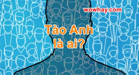 Tào Anh là ai? Điều đặc biệt về Tào Anh chưa ai biết