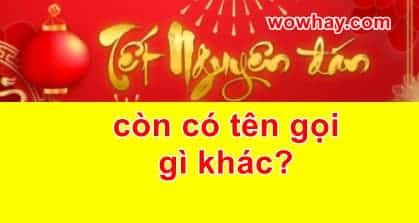 Tết Nguyên đán còn có tên gọi khác là gì? Đúng nhất