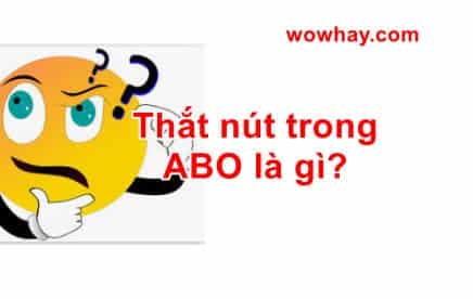 Thắt nút trong ABO là gì? Đúng nhất