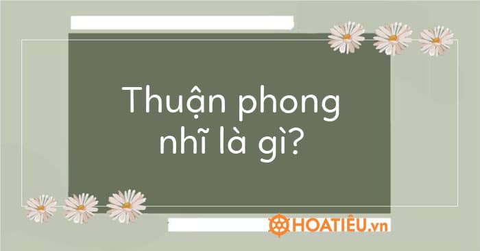 Thuận phong nhĩ là gì?