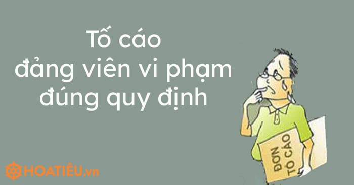 Tố cáo đảng viên vi phạm đúng quy định 2023