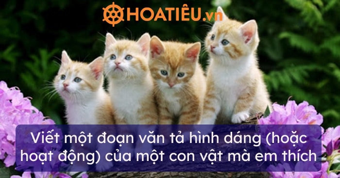 Top 11 Viết một đoạn văn tả hình dáng (hoặc hoạt động) của một con vật mà em thích