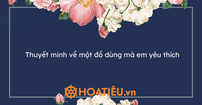 Top 15 bài thuyết minh về một đồ dùng mà em yêu thích